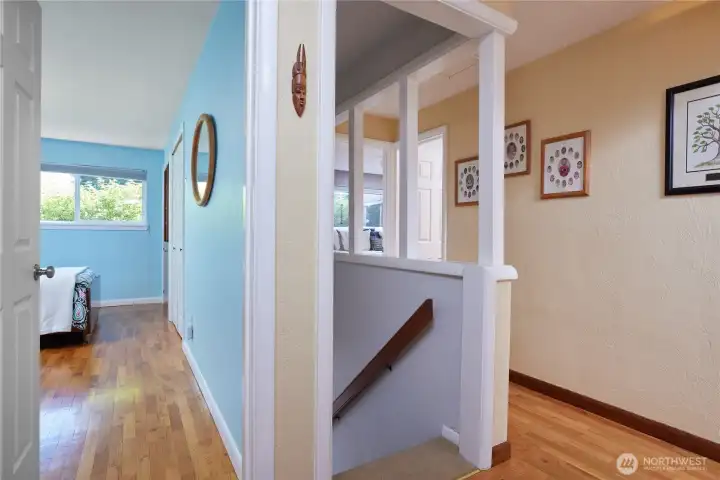 stairs to lower level stairs to lower level