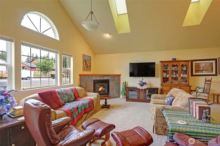 Natural light shines into the living room from the skylights and large windows.