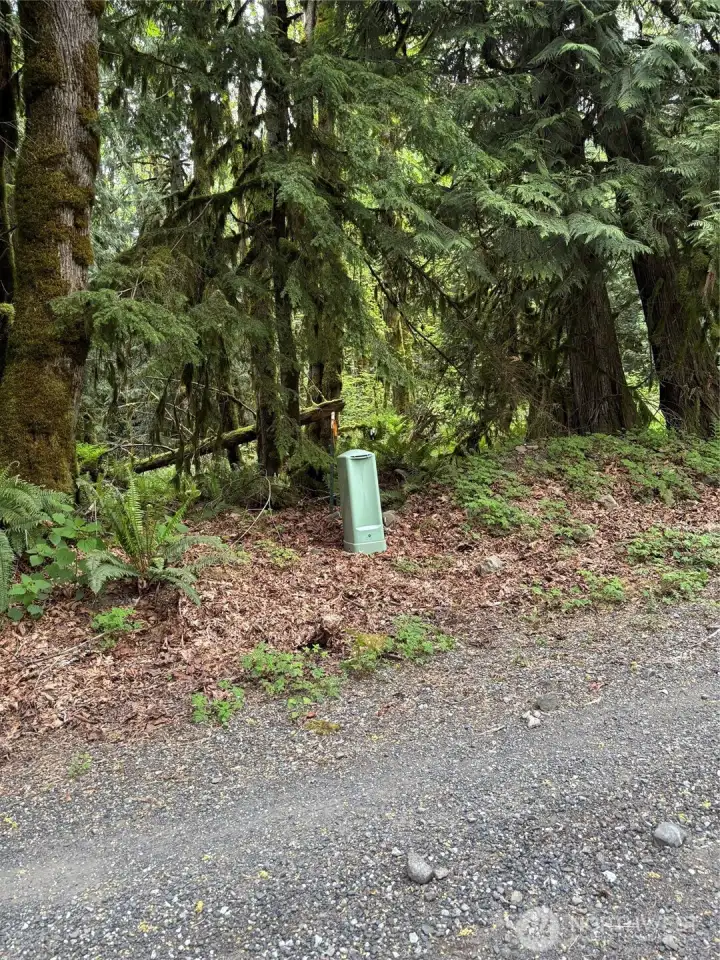 Upper Frost Lake: 5.3 Ac Upper Frost Lake: 5.3 Ac