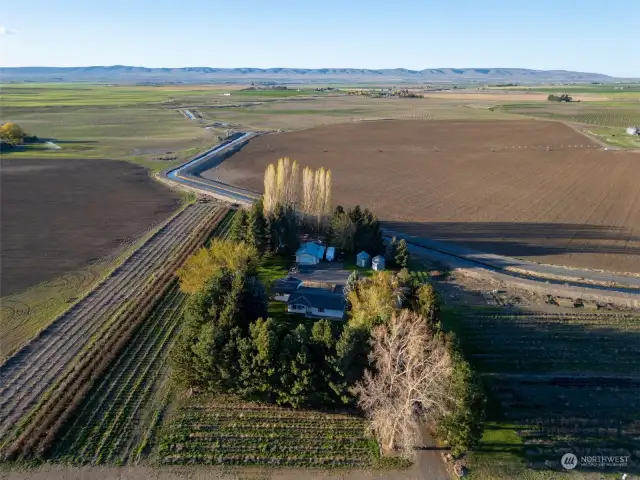 Secluded and private smack dab in the heart of prime Columbia Basin Farm land.