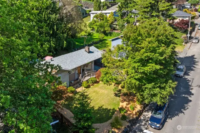 Aerial view display the beautiful mature trees & plants that surround the front yard.