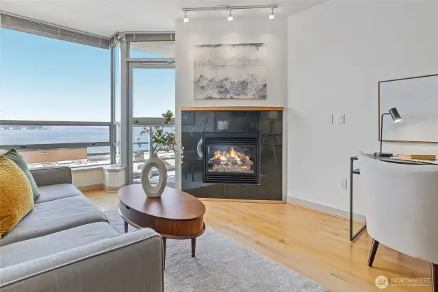 Gas fireplace