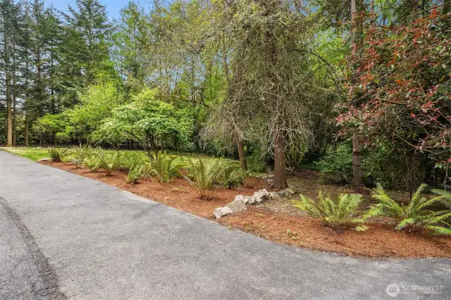 Back Yard Escape