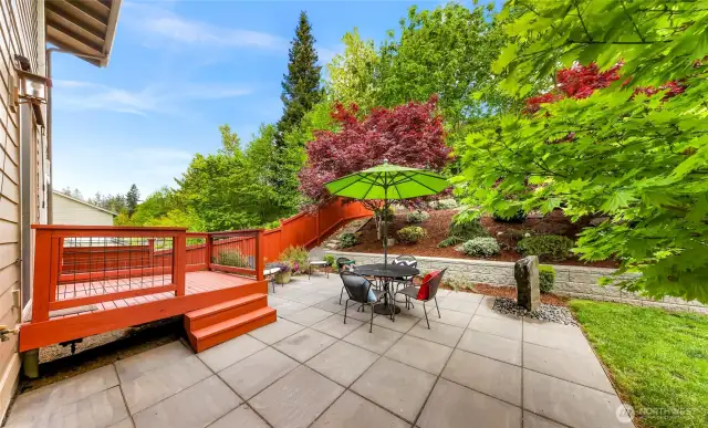 Freshly painted deck and fence.