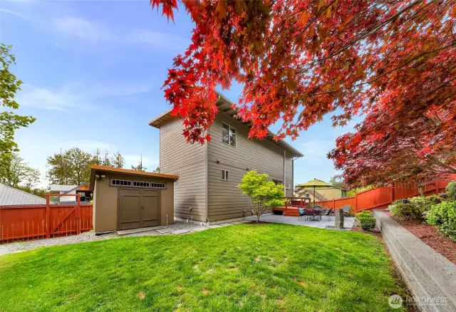 The backyard is fully fenced in, with an entrance/exit off the side onto the road. Complete with a large garden shed wired with power.