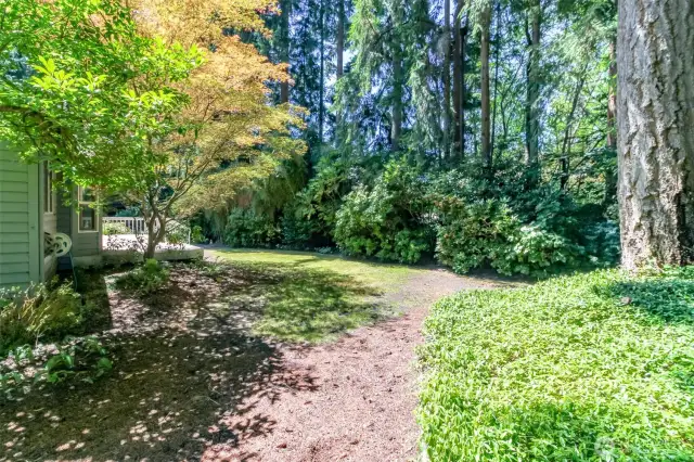 Another view of the lush plantings and shrubbery in the back yard.