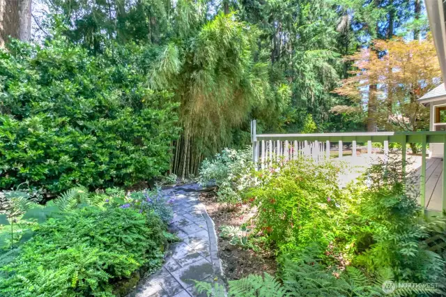 Serene setting with paths winding through the back area.