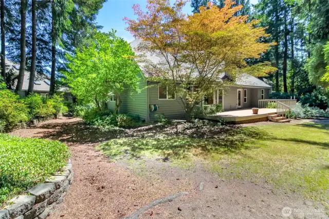 View of the home and backyard area from the patio.