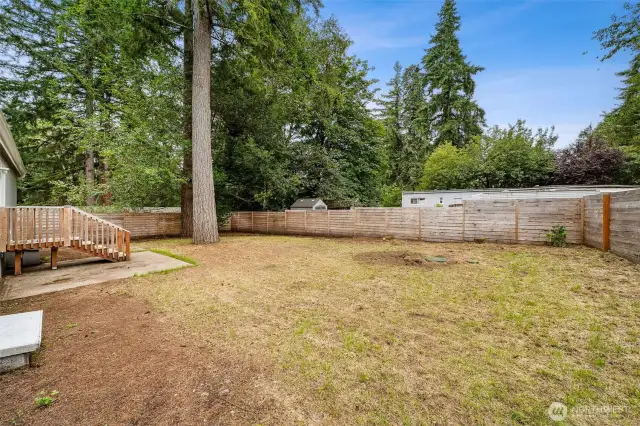 Fenced Backyard