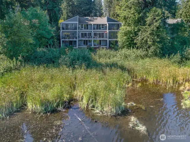 Wildlife is attracted to this protected lake.  It is not uncommon to see heron or other birds.