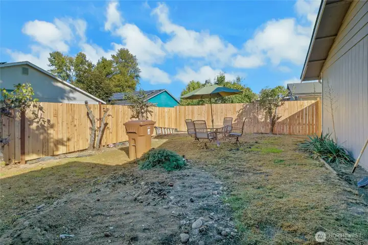 Back Yard 1