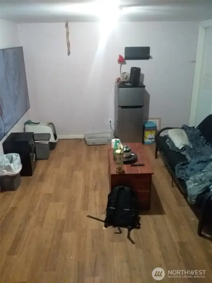 Basement family room