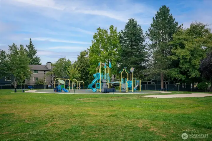 Blueberry Park just around the corner