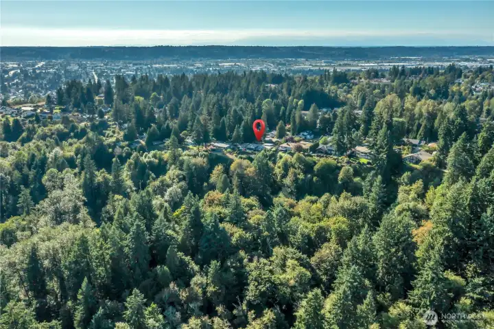 Aerial view showing tract B.  No one can build behind or block the view