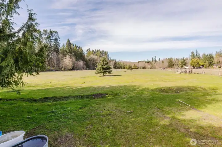 Cleared and fenced pastureland.