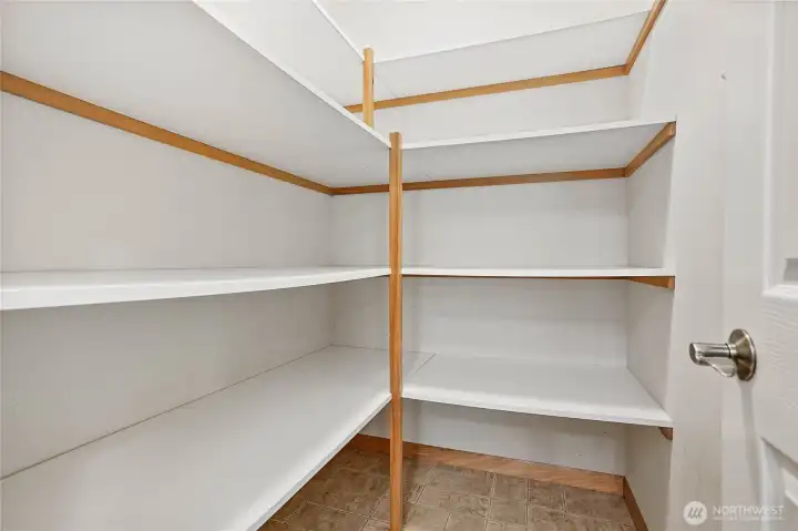 Walk-in Pantry off the kitchen. Walk-in Pantry off the kitchen.