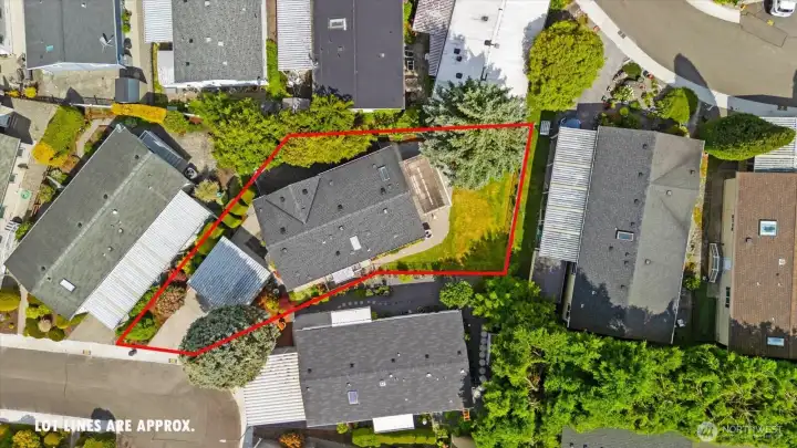 This backyard is fully fenced and perfectly suited for anyone looking to downsize without sacrificing private outdoor space.
