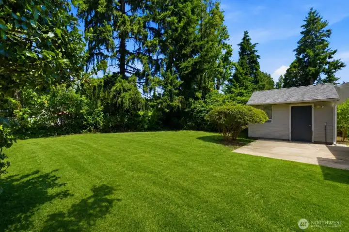 Virtual Grass