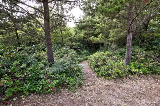 Path to beach