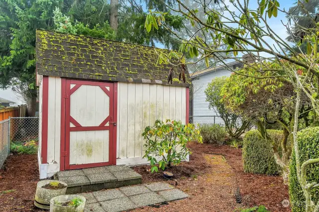 Backyard Shed