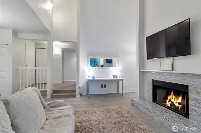 Living Room, Front door entrance and fire place