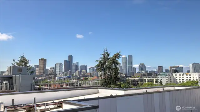 Roof Top Deck