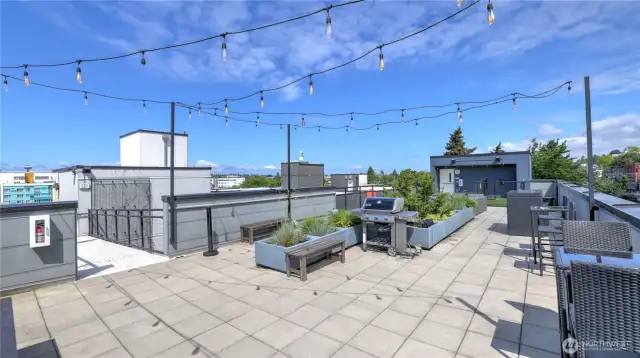 Roof Top Deck