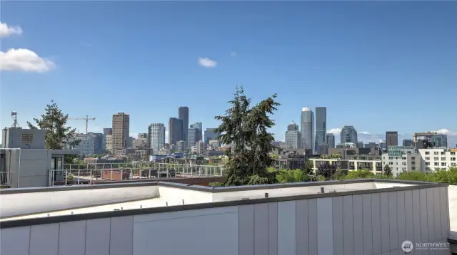 Roof Top Deck