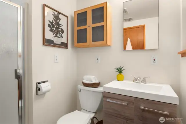 Lower level 3/4 bath.