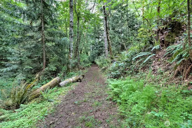 Easy beach access trail. Private trail shared with three neighbors. Will provide access to the property waterfront as well.
