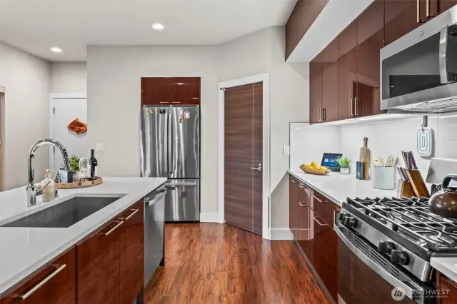 Under cabinet lighting, and walk in pantry.