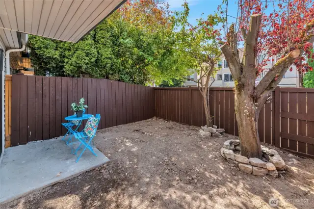 Back Patio