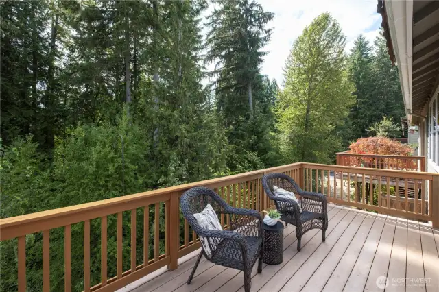 Trex deck