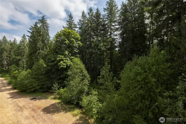 View from deck...nice space between you and the trees