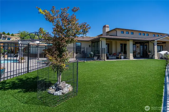 Yard