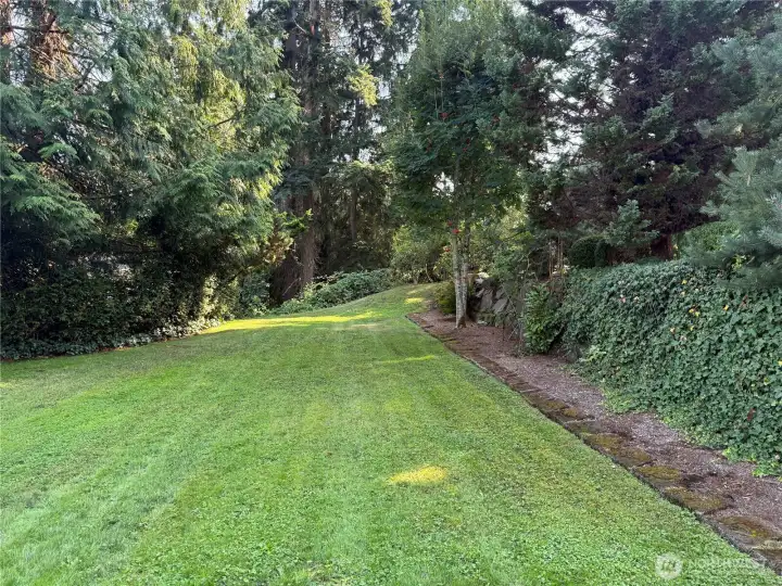Back yard