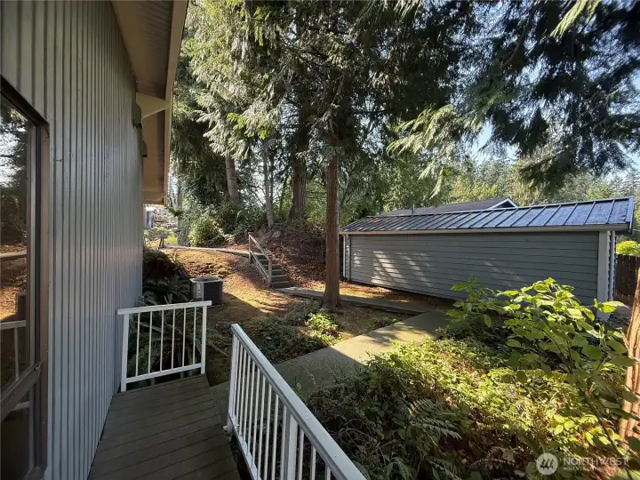 back of home