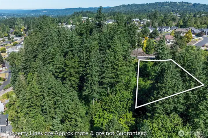 This is the view of the back of the property