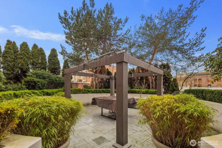 Common area BBQ deck