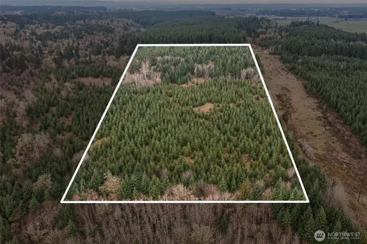 Boundary lines are for locational reference only and are not survey accurate.