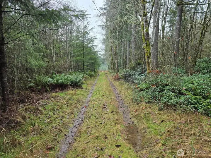 public right of way.