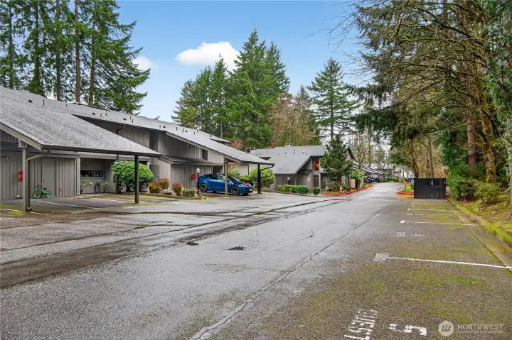 Guest Parking Steps from Unit