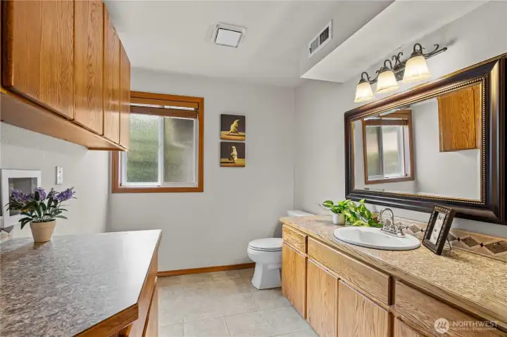 Lower level bathroom & laundry room