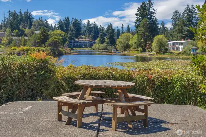 community picknic area near the lake