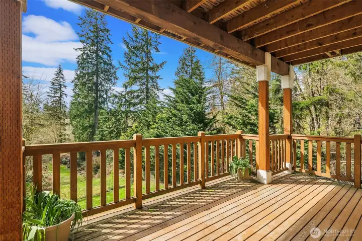 Lower level view deck!