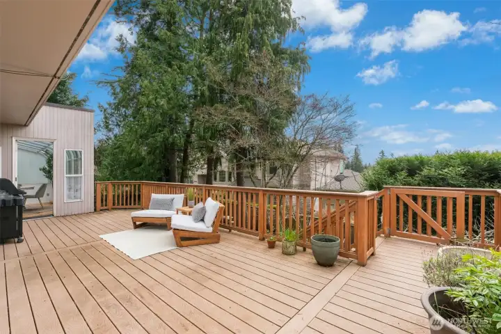 Expansive trex deck off the main level