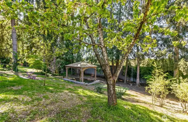 Another view of the large back yard and pergola.