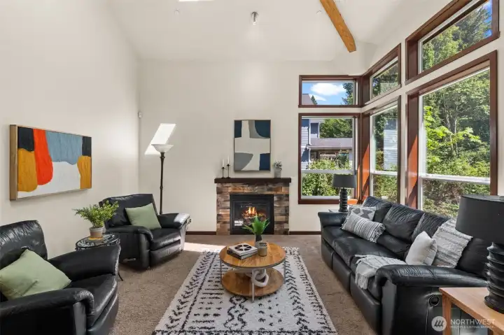 Gas burning fireplace