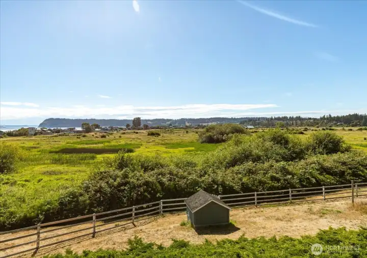 Bright, sunny, gorgeous July. Bright, sunny, gorgeous July.