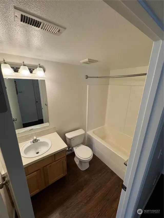 lower level bathroom